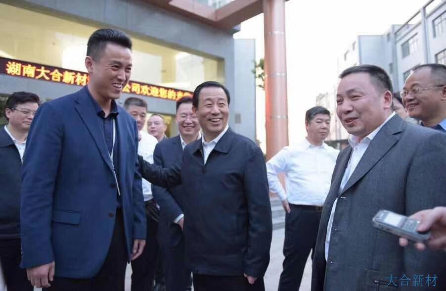 湖南省委副书记、省长许达哲一行莅临湖南大合新材料有限公司调研